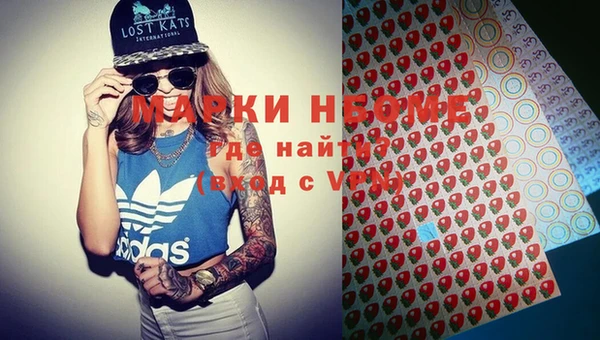 твердый Няндома