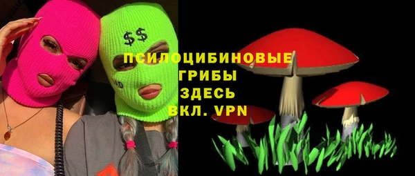 твердый Няндома