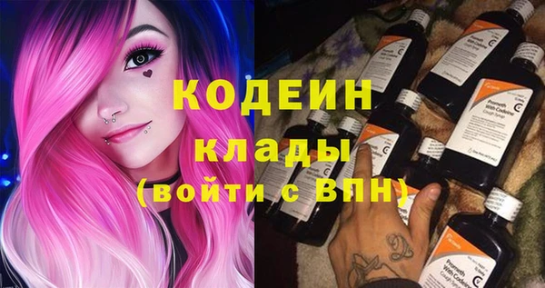 твердый Няндома