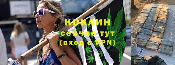 твердый Няндома