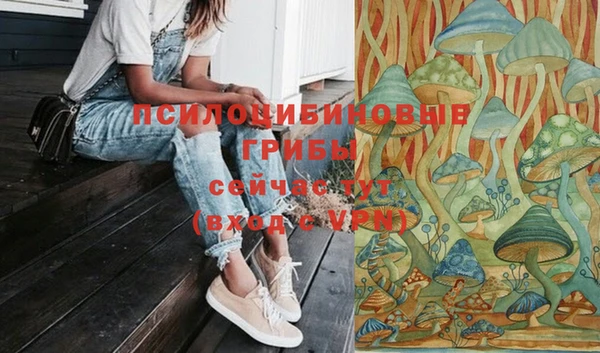 не бодяженный Нязепетровск
