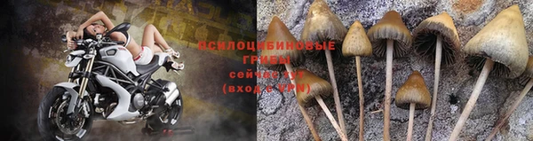 мяу мяу кристалл Нягань