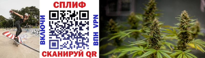 Купить закладки  Сатка  Бошки марихуана Ganja 